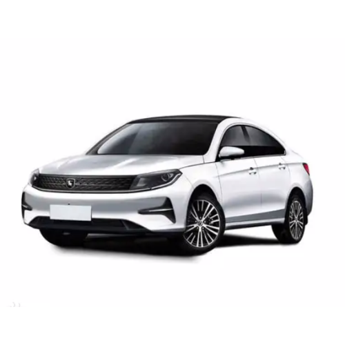 Dongfeng Fengxing S60 EV ELETTRO NUOVO ENERGIA AUTOMOTIVE BANGLADESH Cina Auto elettriche utilizzate